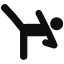tae kwon do